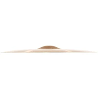 MEINL Byzance Traditional Polyphonic Crash Cymbal