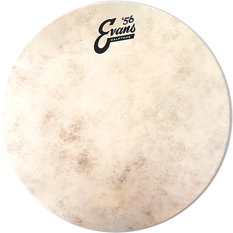 EVANS Calftone Snare Tune Up Kit