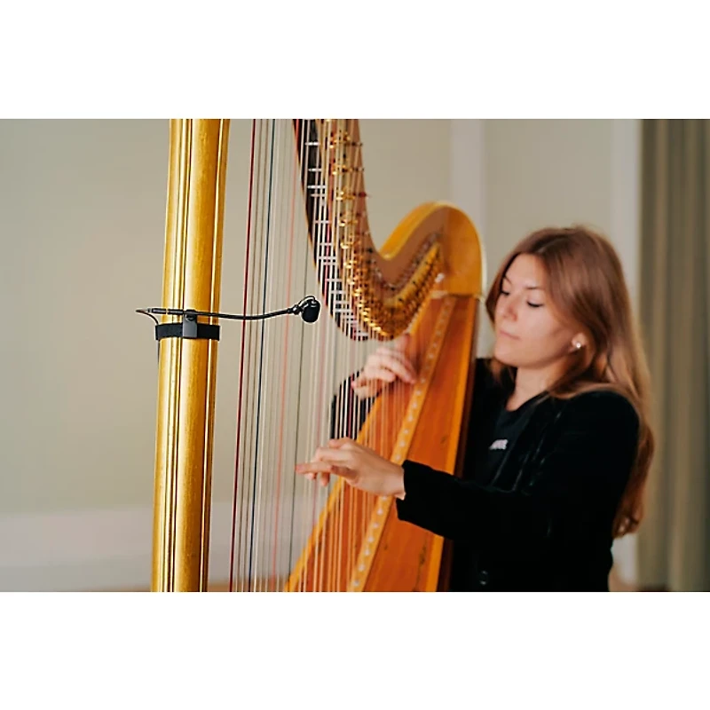 Neumann MCM 114 Miniature Clip Microphone System: Woodwinds