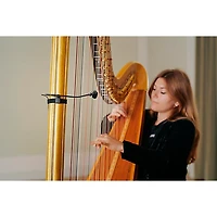 Neumann MCM 114 Miniature Clip Microphone System: Woodwinds