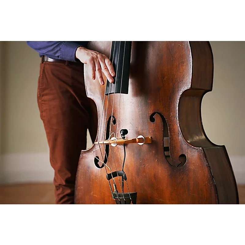 Neumann MC 3: String Clip for MCM Miniature Clip Microphone System: Double Bass