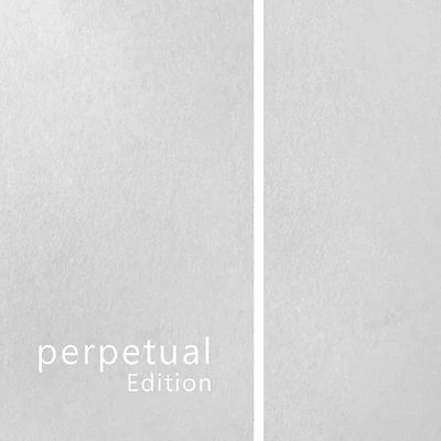 Pirastro Perpetual Edition Cello A String 4/4 Size, Medium Chrome, Ball End