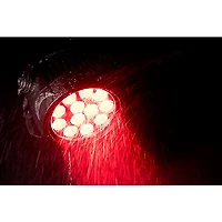 American DJ Encore LP12IP High Output 12x20 Watt IP65 Rated Metal Par