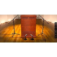 IK Multimedia Leslie Collection (Amplitude & T-RackS) Software Suite