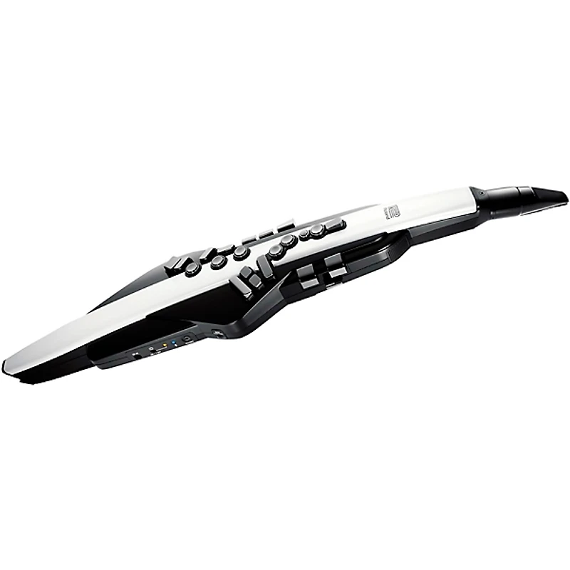 Roland Aerophone AE-20 Digital Wind Instrument