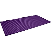 Auralex Studiofoam Wedges 24"x48"x1" Acoustic Panel 20-Pack