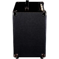 Quilter Labs Aviator Cub UK 50W 1x12 Advanced Single-Channel Combo Amplifier - Black