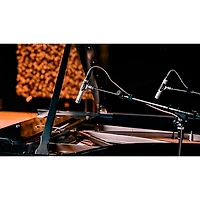 Universal Audio SP-1 Standard Pencil Microphone - Matched Pair