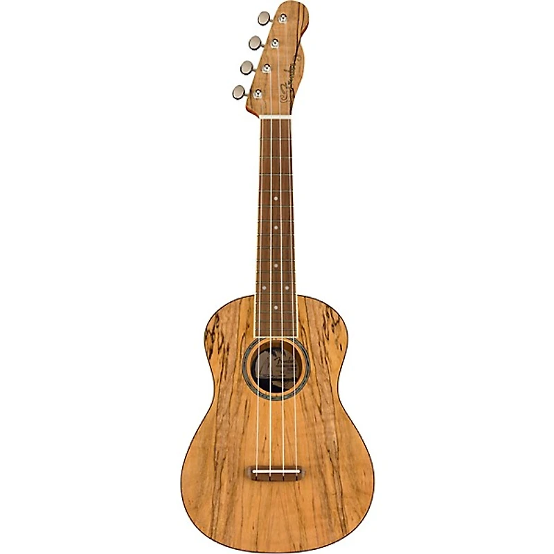 Fender Zuma Exotic Spalted Maple Concert Ukulele Natural