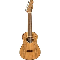 Fender Zuma Exotic Spalted Maple Concert Ukulele Natural
