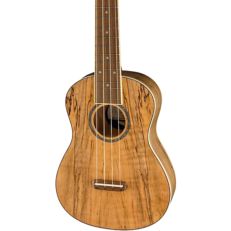 Fender Zuma Exotic Spalted Maple Concert Ukulele Natural