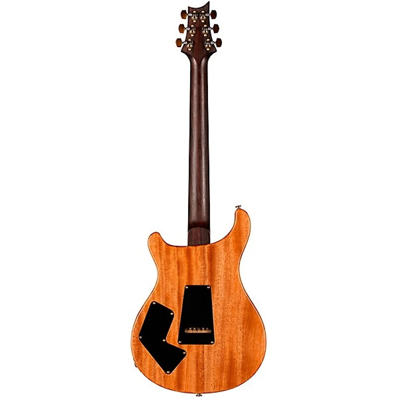 PRS Wood Library Modern Eagle V With 10-Top Quilt and East Indian Rosewood Neck Electric Guitar