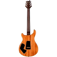PRS Wood Library Modern Eagle V With 10-Top Quilt and East Indian Rosewood Neck Electric Guitar
