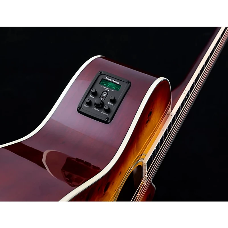 Washburn Deep Forest Burl ACE Acoustic-Electric Guitar Amber Fade