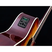 Washburn Deep Forest Burl ACE Acoustic-Electric Guitar Amber Fade