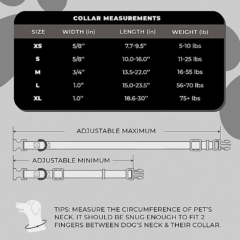 Fender Dog Collar