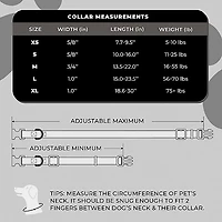 Fender Dog Collar