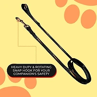 Perri's Pink Floyd Prisms Dog Leash Black Medium