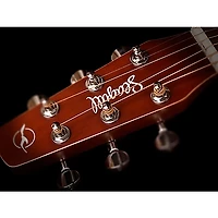 Seagull Entourage CW Presys II Dreadnought Acoustic-Electric Guitar Autumn Burst