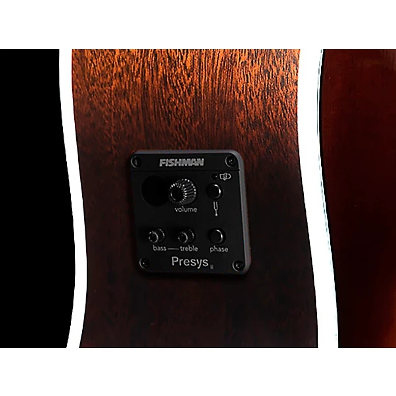 Seagull Maritime SWS Mahogany GT Presys II Dreadnought Acoustic-Electric Guitar Burnt Umber