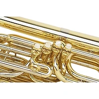 Miraphone 1291 Series 4-Valve 4/4 BBb Tuba With Tuba Essentials Stand Pack
