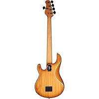 Ernie Ball Music Man StingRay5 Special HH 5-String Electric Bass Guitar