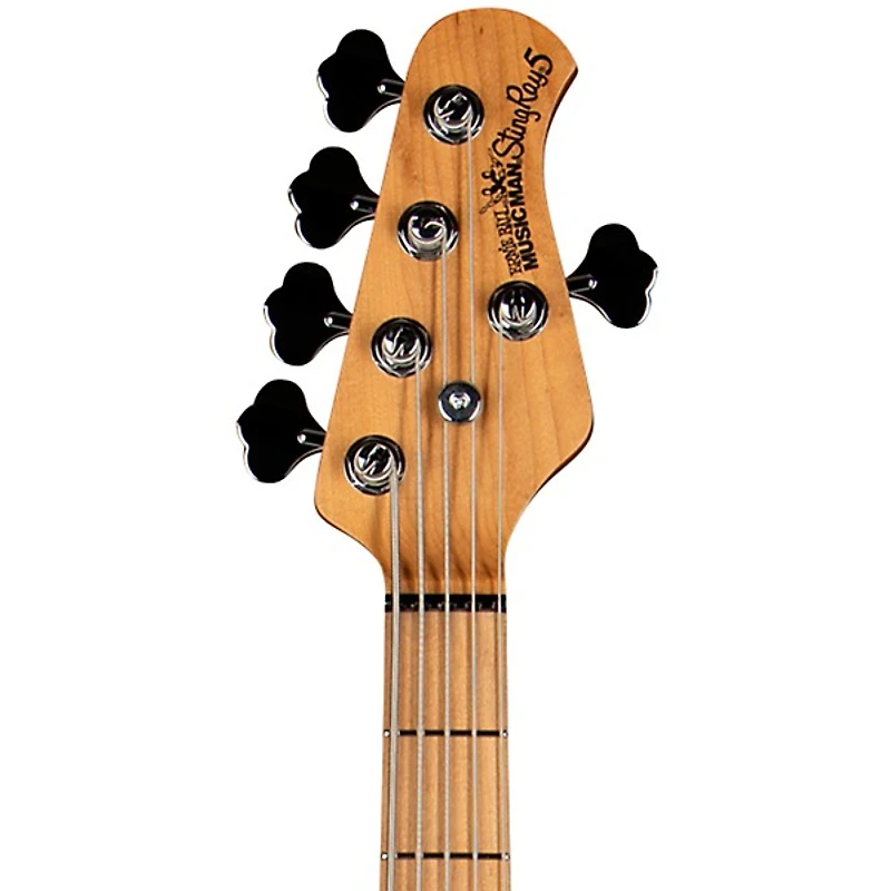 Ernie Ball Music Man StingRay5 Special HH 5-String Electric Bass Guitar