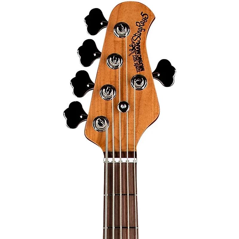 Ernie Ball Music Man StingRay5 Special H 5-String Electric Bass Guitar