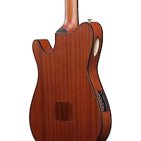 Ibanez FRH10N Nylon-String Acoustic-Electric Guitar -