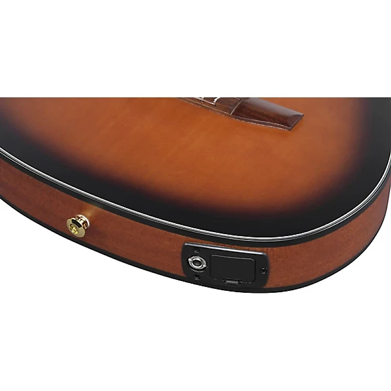 Ibanez FRH10N Nylon-String Acoustic-Electric Guitar -