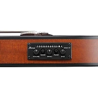 Ibanez FRH10N Nylon-String Acoustic-Electric Guitar -