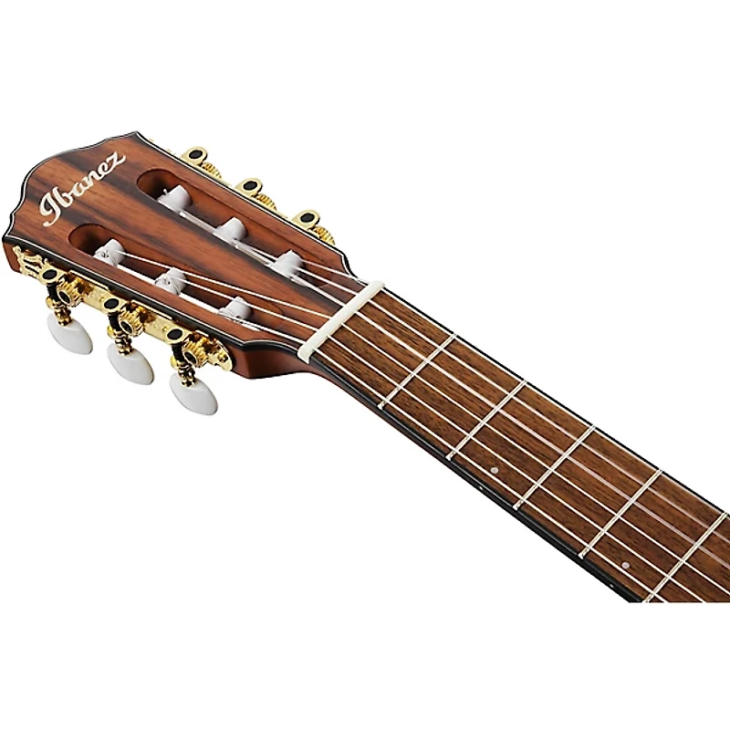Ibanez FRH10N Nylon-String Acoustic-Electric Guitar -