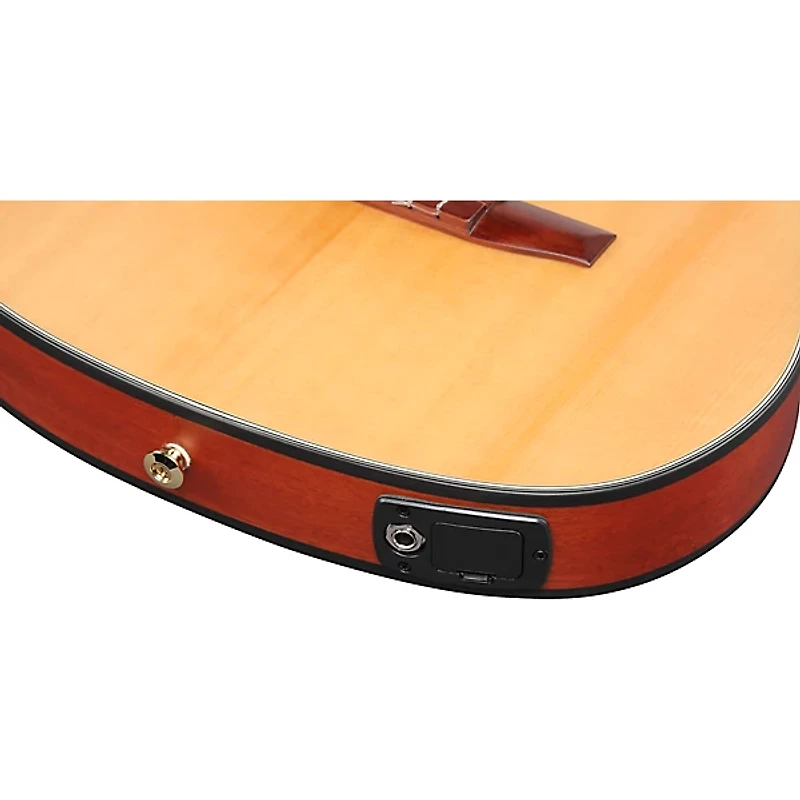 Ibanez FRH10N Nylon-String Acoustic-Electric Guitar -