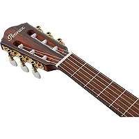 Ibanez FRH10N Nylon-String Acoustic-Electric Guitar -