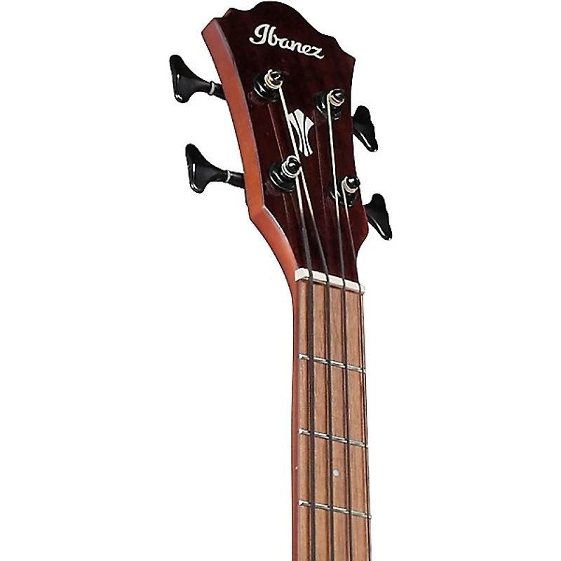 Ibanez AEGB30E Spruce-Sapele Acoustic-Electric Bass Guitar - Natural
