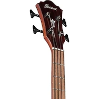 Ibanez AEGB30E Spruce-Sapele Acoustic-Electric Bass Guitar - Natural