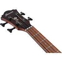 Ibanez AEGB30E Spruce-Sapele Acoustic-Electric Bass Guitar - Natural