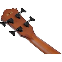 Ibanez AEGB30E Spruce-Sapele Acoustic-Electric Bass Guitar - Natural
