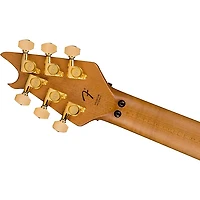 EVH Wolfgang Special QM Electric Guitar Purple Burst