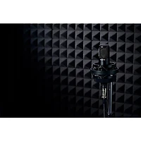 Sony C-80 Dual-Diaphragm Condenser Microphone