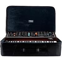 Moog Minimoog Model D SR Case