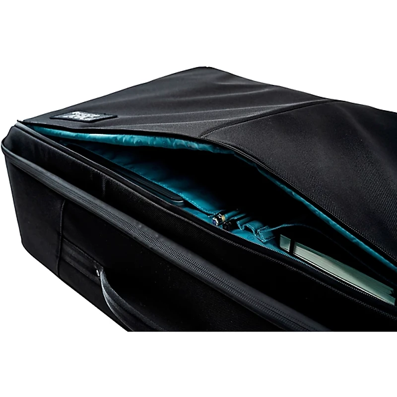 Moog Minimoog Model D SR Case