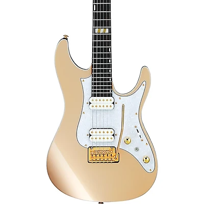 Ibanez Scott LePage Signature Electric Guitar