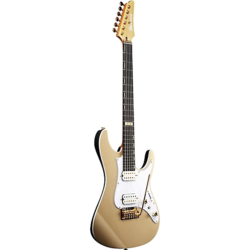 Ibanez Scott LePage Signature Electric Guitar