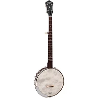 Recording King Madison OT26 Open Back Banjo