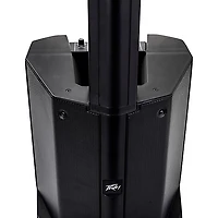 Peavey LN1063 Column Array