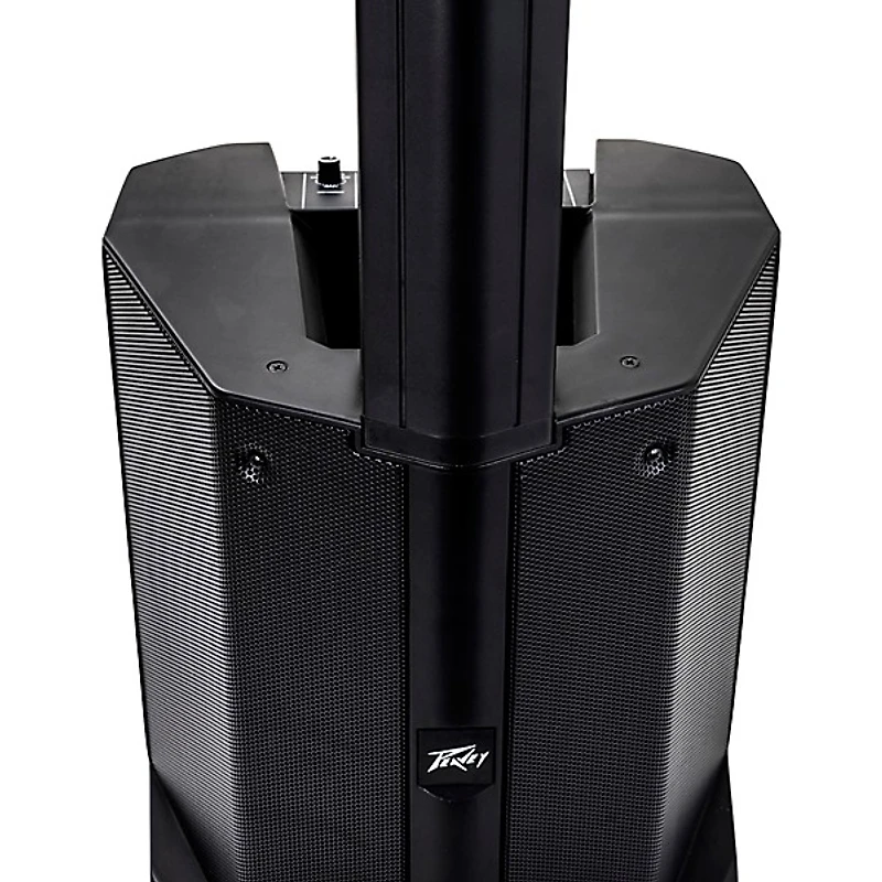 Peavey LN1063 Column Array