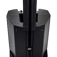 Peavey LN1063 Column Array