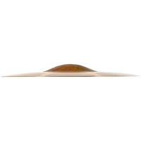MEINL Byzance Polyphonic Splash Cymbal 10 in.