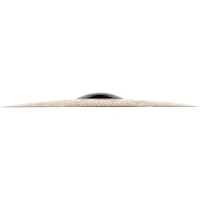 MEINL Pure Alloy Custom Extra Thin Hammered Crash Cymbal